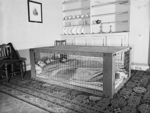 The Morrison Shelters were named after Herbert Morrison, the Minister of Home Security Sleeping in a Morrison Shelter