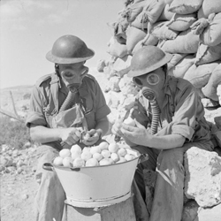 1940s Gas Mask British Soldiers peeling onions with a gas mask on 1940s Soldiers peeling onions with a gas mask